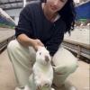 山东先顺肉兔扶贫养殖基地的一亩田店铺