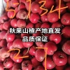 刘凯的一亩田店铺