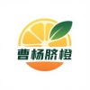 曹远明的一亩田店铺