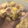 李玉梅的一亩田店铺