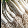 李晓丽的一亩田店铺