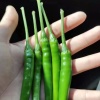 王明娇的一亩田店铺