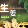 山东皓杰果蔬购销中心的一亩田店铺