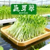 江苏农芽鲜生物农业发展有限公司的一亩田店铺