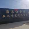 王军的一亩田店铺