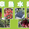 于文涛的一亩田店铺