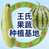 王勇的一亩田店铺