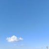 泸西县白水镇国光蔬菜种植基地的一亩田店铺