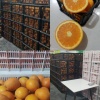 王振英的一亩田店铺