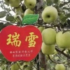 张柯的一亩田店铺
