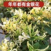 云飞家庭农场的一亩田店铺
