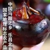 白根国的一亩田店铺