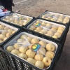 同川优选好货小李代办的一亩田店铺