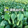 蔬之源精品叶菜产地直发的一亩田店铺