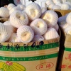 穆智明的一亩田店铺