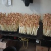 赣州市章贡区农科菜工坊种植部的一亩田店铺