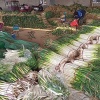 许多南阳商贸有限公司的一亩田店铺