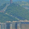 文山市农产地代办中心的一亩田店铺