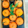 杨群的一亩田店铺