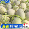 田飞的一亩田店铺