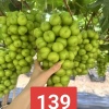 老梁水果批发总部的一亩田店铺
