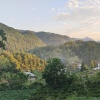 胡莲琼的一亩田店铺