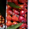 二宁果蔬代办的一亩田店铺
