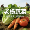 杨凌的一亩田店铺