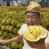 民众果品有限公司的一亩田店铺
