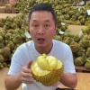 民众果品有限公司的一亩田店铺