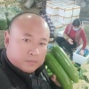 聊城李合增蔬菜代收的一亩田店铺