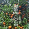 杨李琴的一亩田店铺