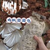 李忠虎的一亩田店铺