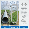 铜鼓县茗流金丝皇菊合作社的一亩田店铺