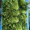 小闫代购代销各种蔬菜的一亩田店铺