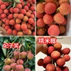 林瑞锦的一亩田店铺