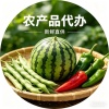 仲二蔬菜蔬果批发的一亩田店铺
