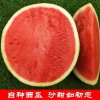姚强强瓜果购销待办的一亩田店铺