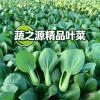 蔬之源精品叶菜产地直发的一亩田店铺
