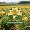 祁东县华润黄花菜种植园的一亩田店铺