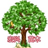 宏兴苗木种植基地的一亩田店铺