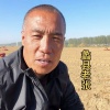 蠡县土根山药的一亩田店铺
