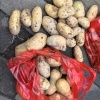 贵州瑞檬农业的一亩田店铺