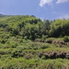 陈烁的一亩田店铺