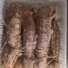 海蚂蚁商贸有限公司的一亩田店铺