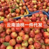 罗伟的一亩田店铺