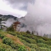 裕和茗茶业的一亩田店铺