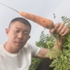 代航通的一亩田店铺