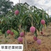 绿信农业的一亩田店铺
