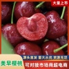 小吴陕西晨果的一亩田店铺